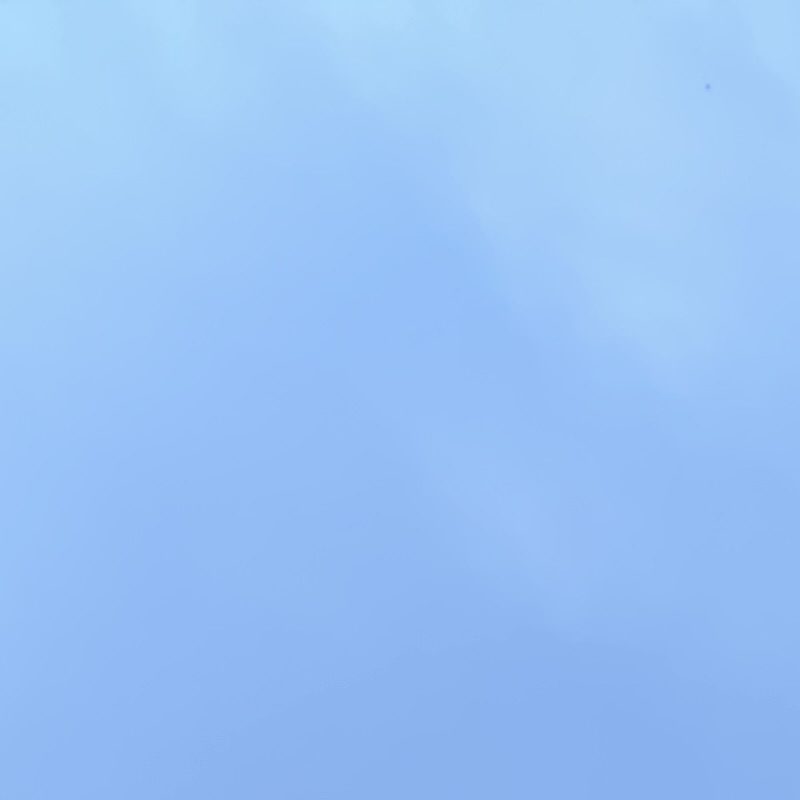 Profile picture of Blah